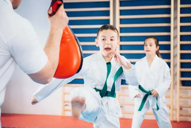 Kids Martial Arts Classes | RL Martial Arts in New Port Richey