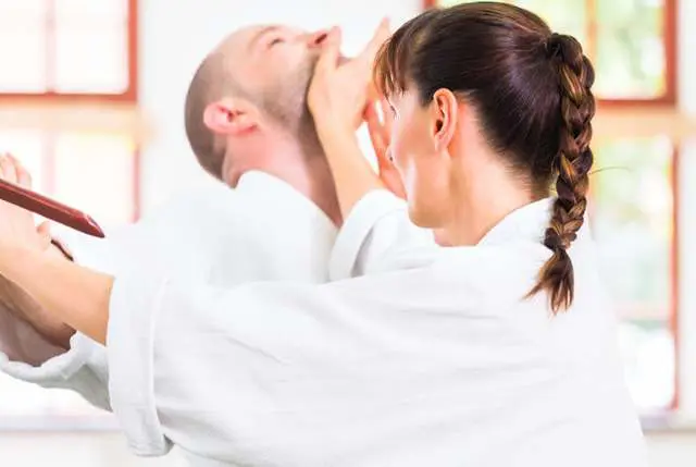 Adult Martial Arts Classes | RL Martial Arts in New Port Richey