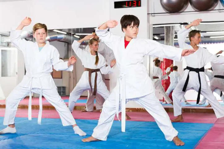 Teen Martial Arts Classes | RL Martial Arts in New Port Richey